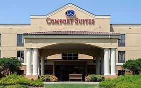 Comfort Suites Starkville